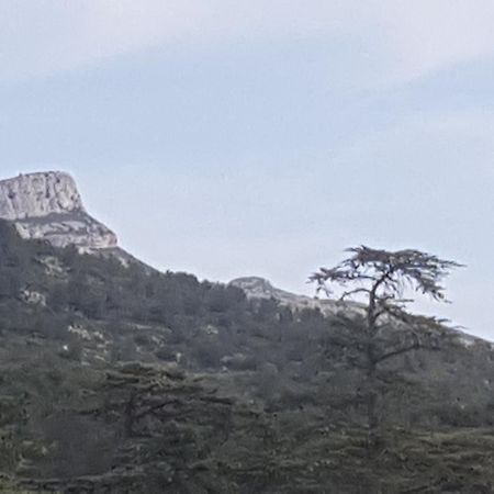 Charmant Appartement Neuf Le Taoume مارسيليا المظهر الخارجي الصورة