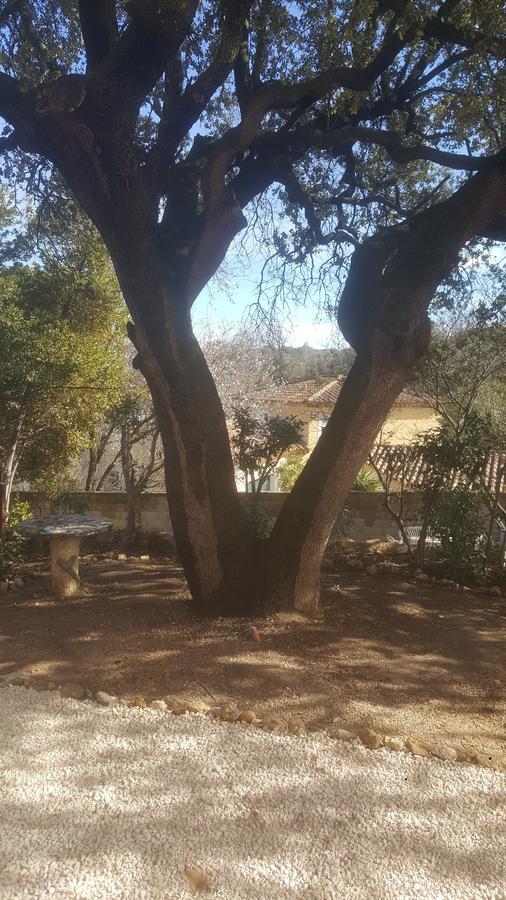 Charmant Appartement Neuf Le Taoume مارسيليا المظهر الخارجي الصورة