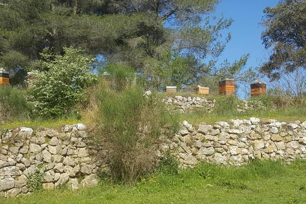 Charmant Appartement Neuf Le Taoume مارسيليا المظهر الخارجي الصورة