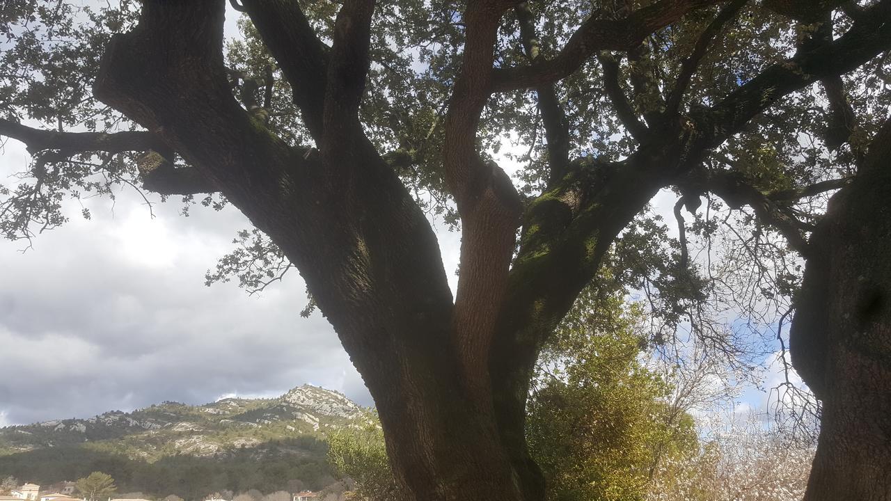 Charmant Appartement Neuf Le Taoume مارسيليا المظهر الخارجي الصورة